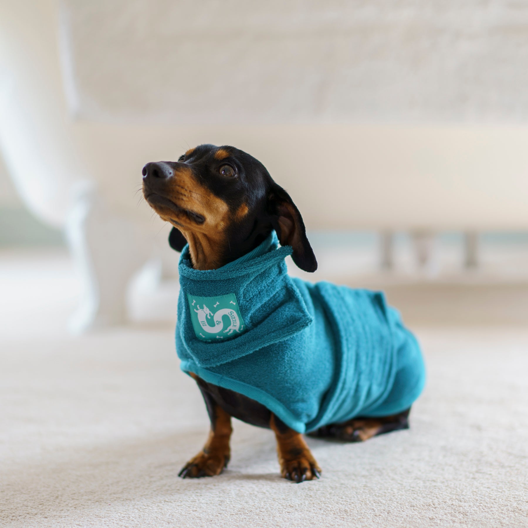 A-Lab Weenie Dog Light Blue Hoodie