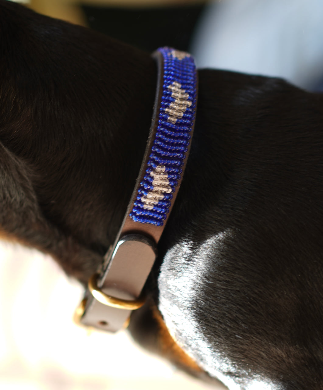 *NEW* Beaded Dog Collars Dachsunds