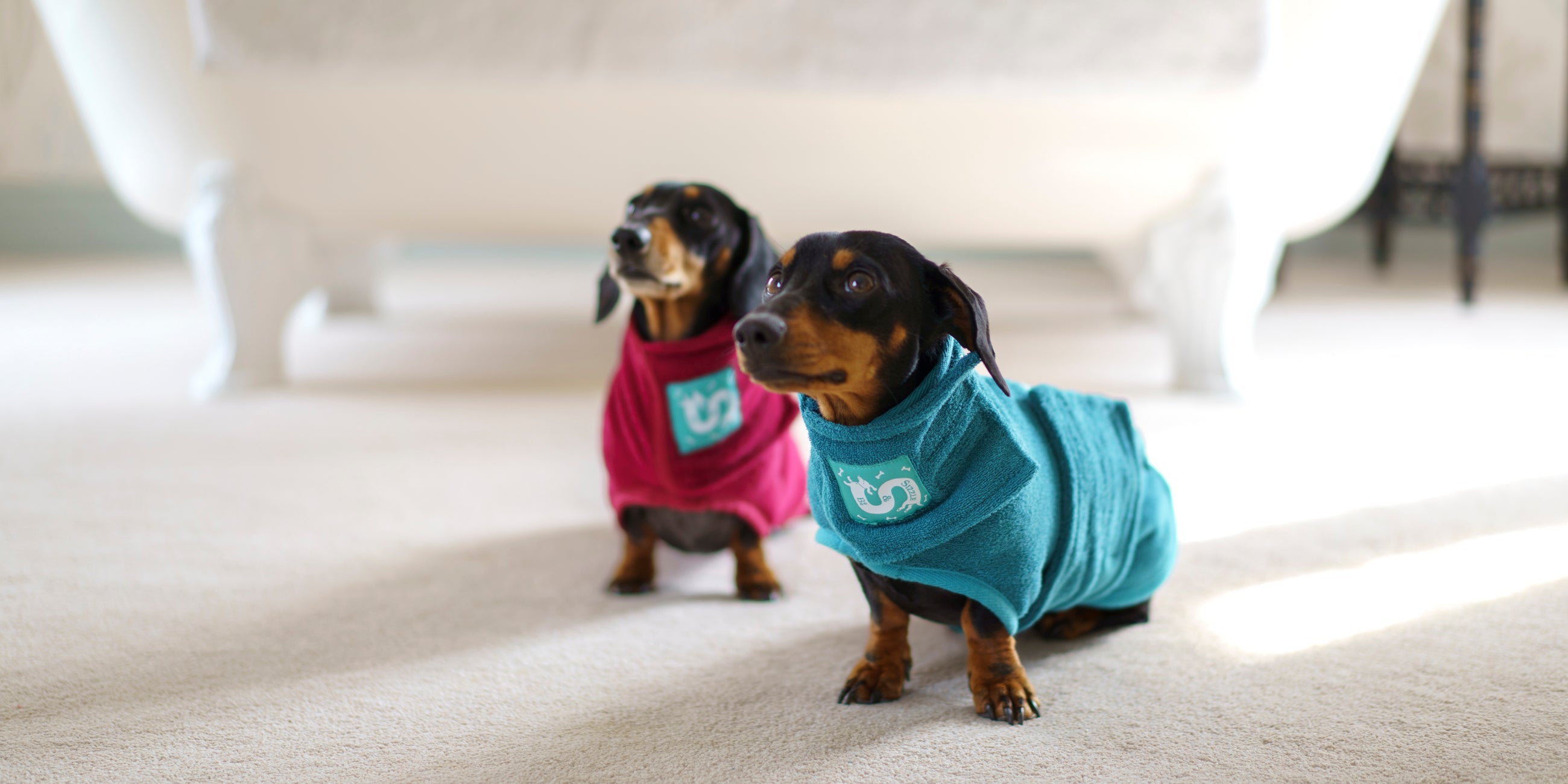 Sausage dog dressing clearance gown